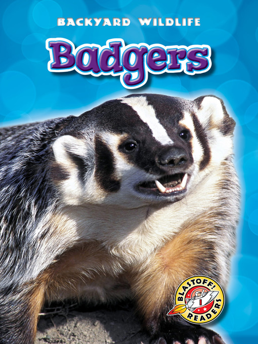 Title details for Badgers by Dana Fleming - Available